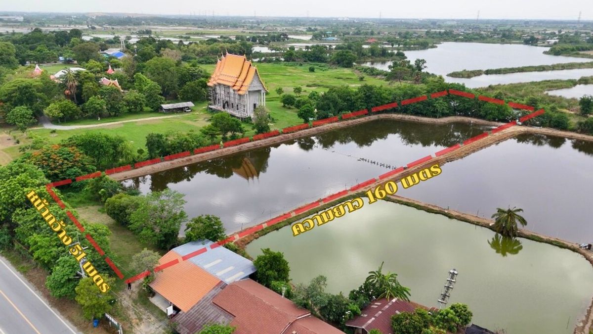 ขายที่ดินนครปฐม : ขายด่วนราคาพิเศษ! ที่ดินเปล่าแปลงสวย ขนาด 5 ไร่ 1 งาน ตำบลสระสี่มุม กำแพงแสน นครปฐม ปัจจุบันทำกิจการบ่อกุ้ง ซื้อแล้วสามารถต่อยอดหรือทำกิจการบ่อกุ้งต่อได้เลย 