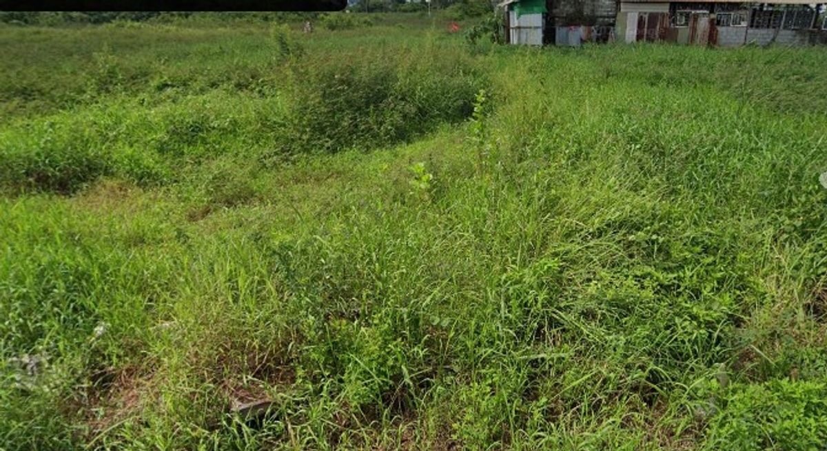 ขายที่ดินมีนบุรี-ร่มเกล้า : ขายที่ดิน เลียบวารี 59 หนองจอก