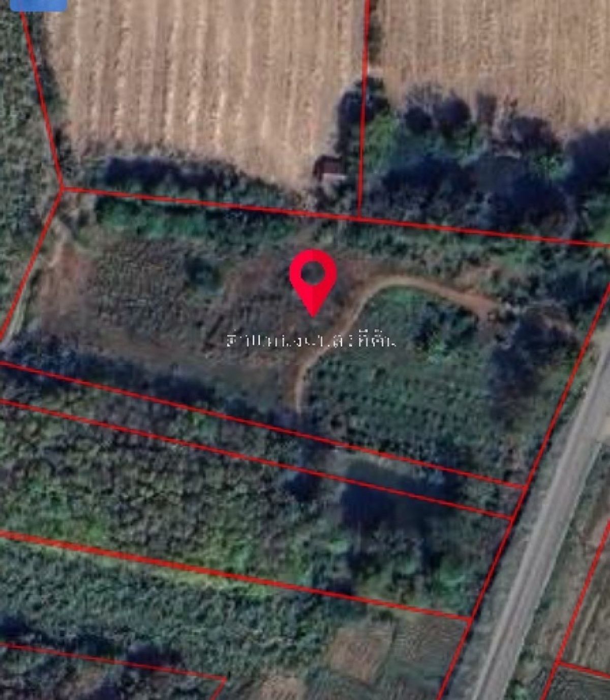 ขายที่ดินเลย : ขายที่ดิน อำเภอ เมืองเลย จังหวัด เลย