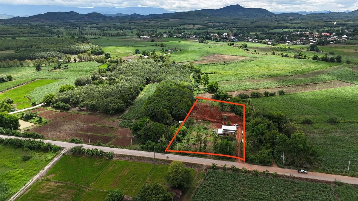 ขายที่ดินเลย : ขายที่ดิน อำเภอ เมืองเลย จังหวัด เลย