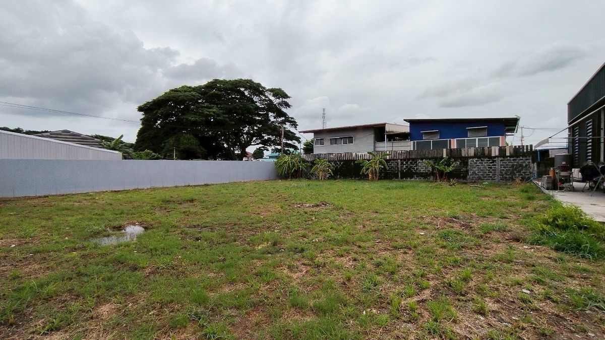 ขายที่ดินสมุทรปราการ สำโรง : ขายที่ดิน ซอยเทพารักษ์ 96 – ทำเลดี ราคาน่าลงทุน ที่ดินแปลงสวย เหมาะสำหรับสร้างบ้านพักอาศัย เปิดออฟฟิศ หรือสร้างโกดังขนาดเล็ก พร้อมใช้งานได้ทันที