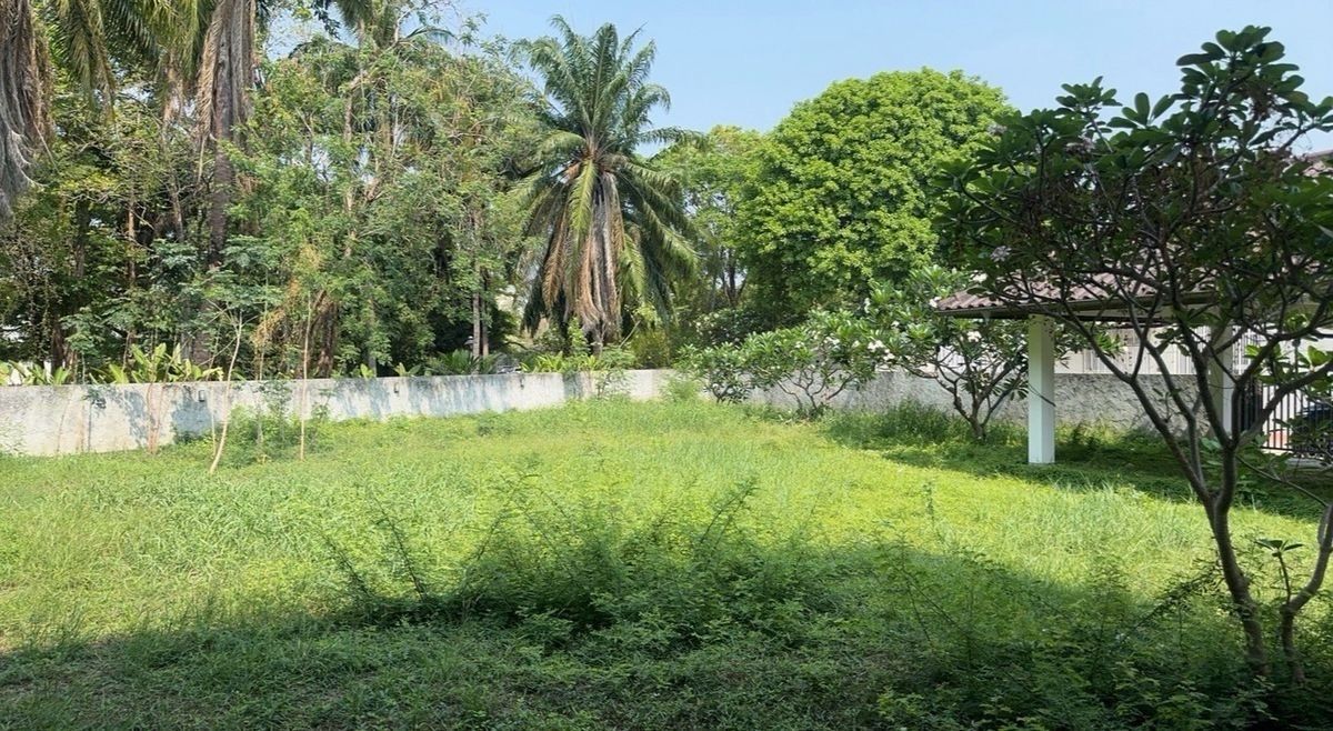 ขายบ้านวิภาวดี ดอนเมือง หลักสี่ : 📢👇บ้านย่านแจ้งวัฒนะ ในพื้นที่ใหญ่เกือบไร่ ใช้ไม้สักทั้งหลัง ไม่เคยพักอาศัย ใกล้จุดขึ้นลงทางด่วน 