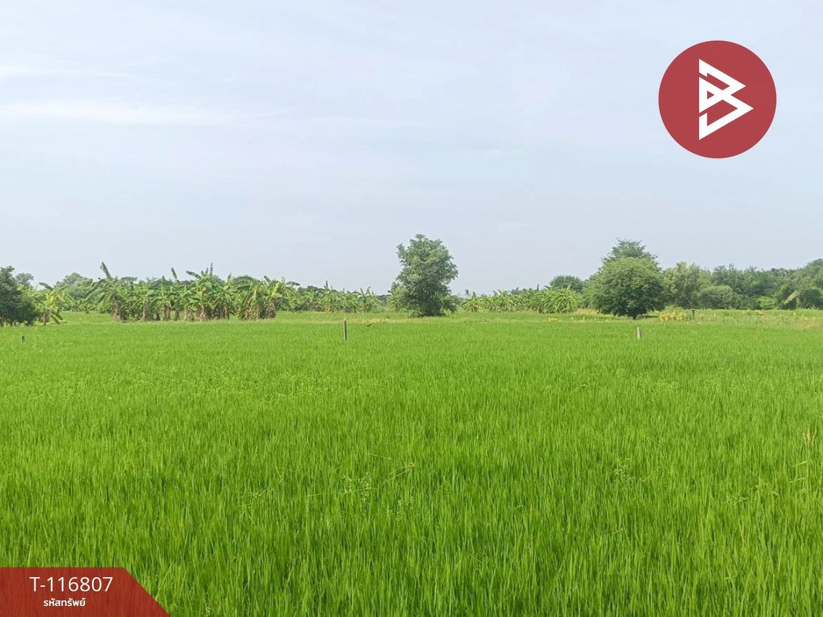 ขายที่ดินนครปฐม : ขายที่ดิน เนื้อที่ 87 ตร.วา พุทธมณฑล นครปฐม
