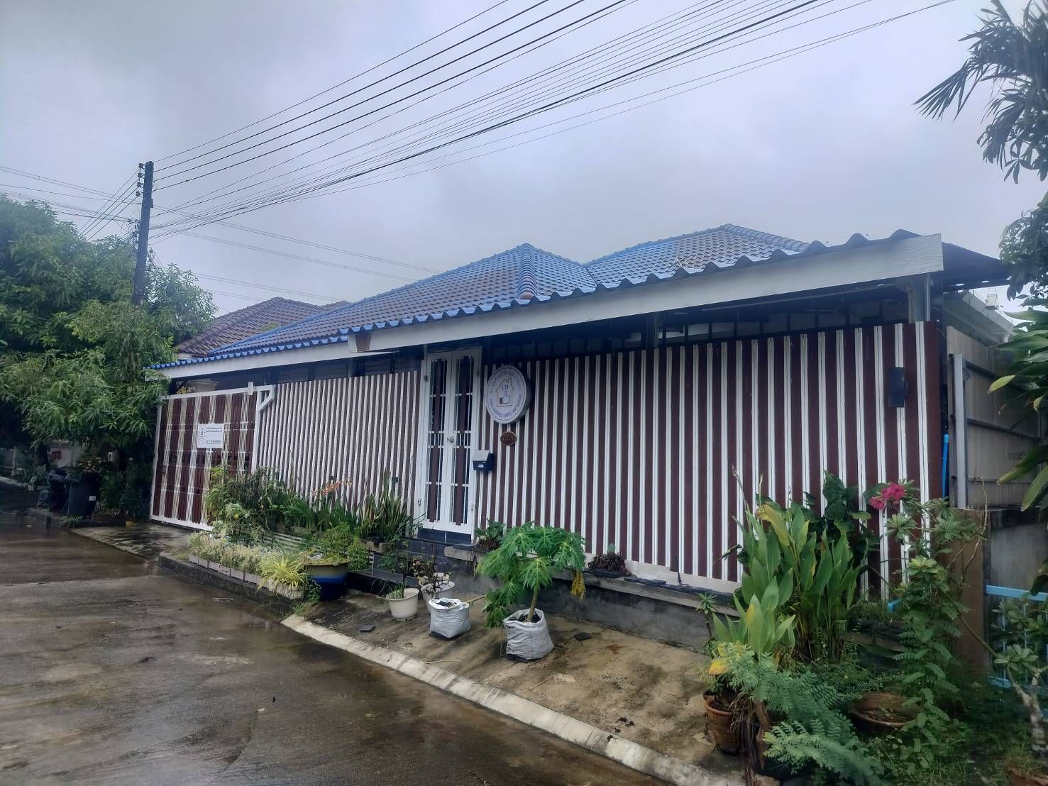 ขายบ้านภูเก็ต : ขาย บ้านเดี่ยว 3 ห้องนอน ในโครงการ บ้านสวนเนรมิต 1 U5629112
