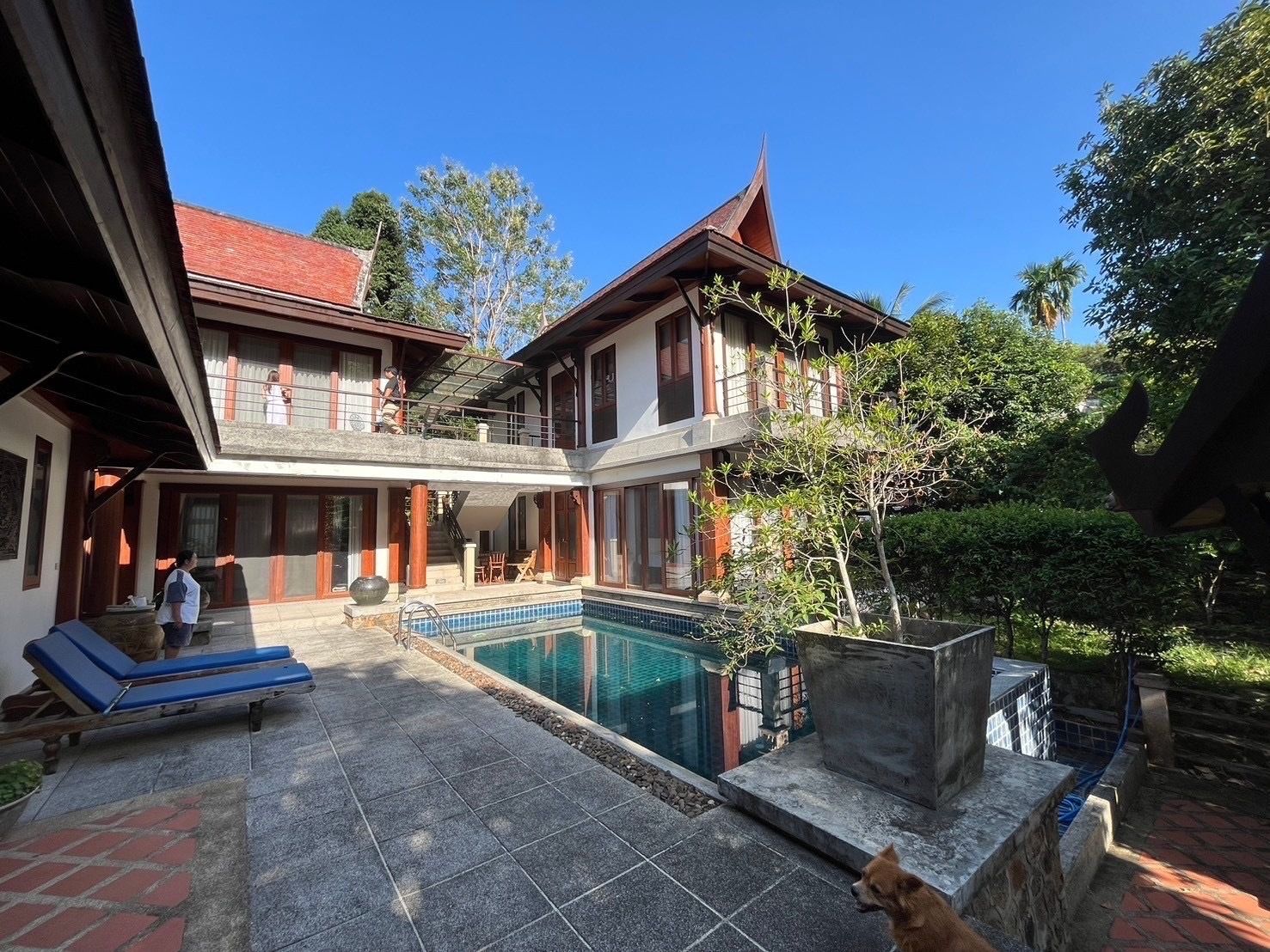 ขายบ้านภูเก็ต : ขาย วิลล่า 5 ห้องนอน ในโครงการ Thammarak Village U1972553