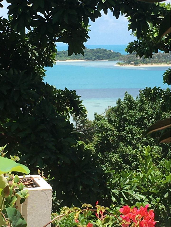 For SaleHouseKoh Samui, Surat Thani : 4 Bedroom Villa for sale in Bo Phut, Surat Thani  U1648624