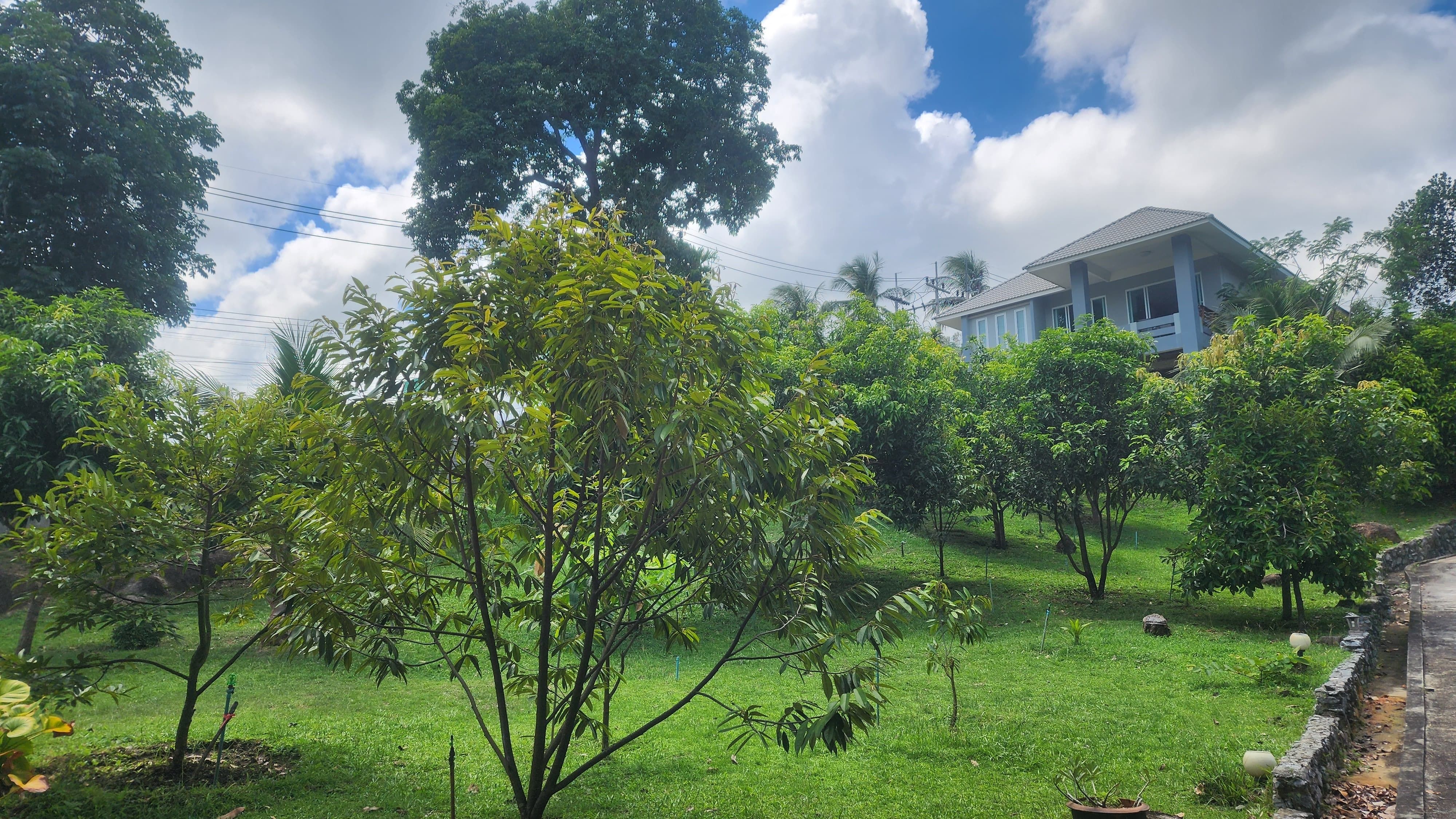 For SaleHouseKoh Samui, Surat Thani : 9 Bedroom House for sale in Maret, Surat Thani  U5552285