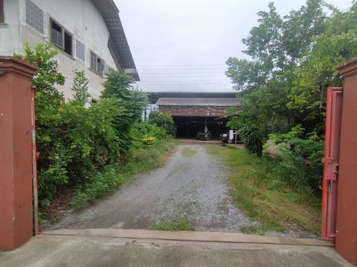 For SaleLandMahachai Samut Sakhon : [Selling] Land for factory-Warehouse | Krathum Baen Samut Sakhon | 1 job 50 Sq. | Near Big C-Lotus | 7.9 million
