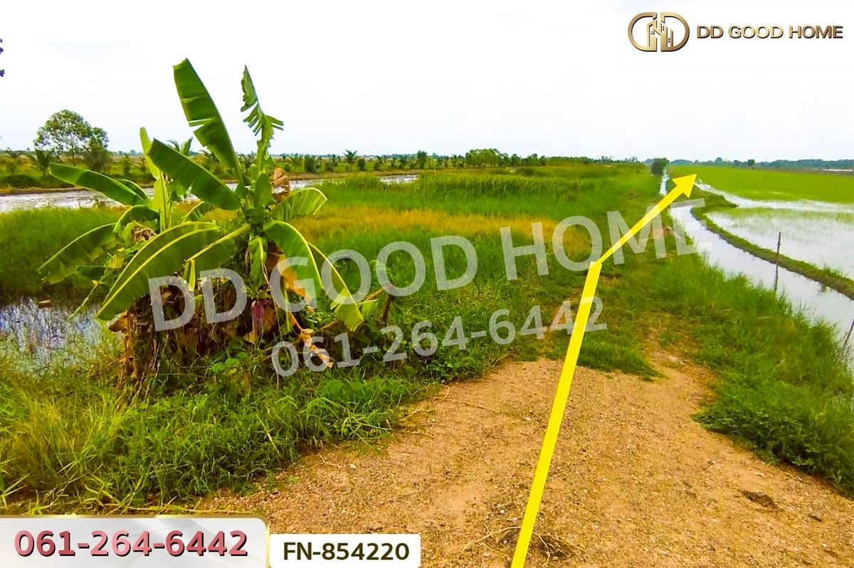 ขายที่ดินปทุมธานี รังสิต ธรรมศาสตร์ : FN-854220 ที่ดินลำลูกกาคลอง 11 ปทุมธานี 4 ไร่ 237.3 ตร.ว. ใกล้สนามกอล์ฟลำลูกกาคันทรีคลับ