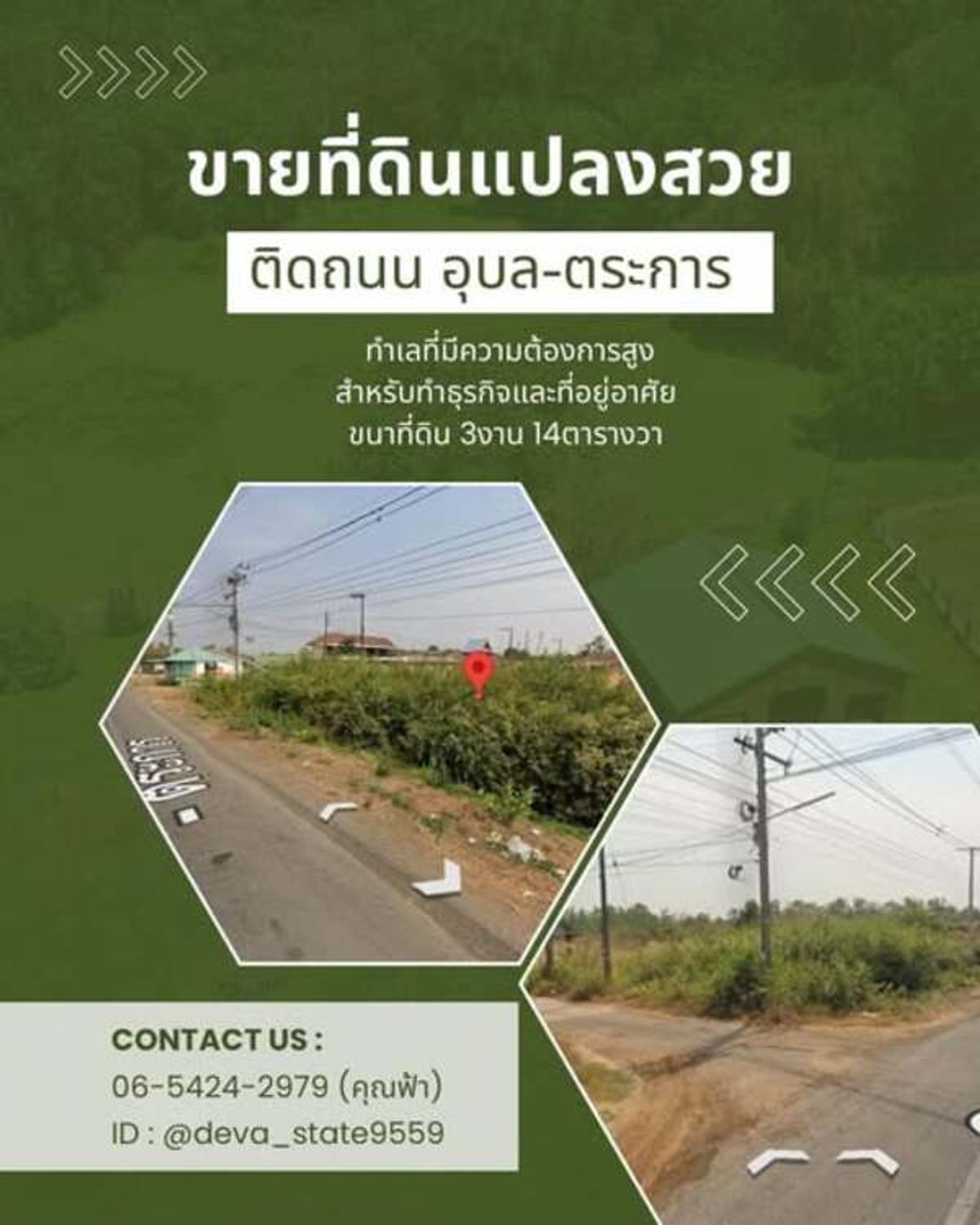 ขายที่ดินอุบลราชธานี :  ขายที่ดินแปลงสวยติดถนนใหญ่ ตระการพืชผล-อุบลราชธานี (ทล.2050) ทำเลทองสำหรับธุรกิจและที่อยู่อาศัย