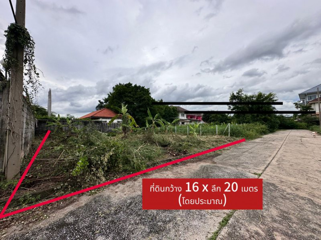 ขายที่ดินปทุมธานี รังสิต ธรรมศาสตร์ : ขาย ที่ดิน เหมาะสำหรับปลูกบ้านพักอาศัย ทำเลดี เพื่อนบ้านดี ถมแล้ว สีวลี1 80 ตรว ต่อรองได้