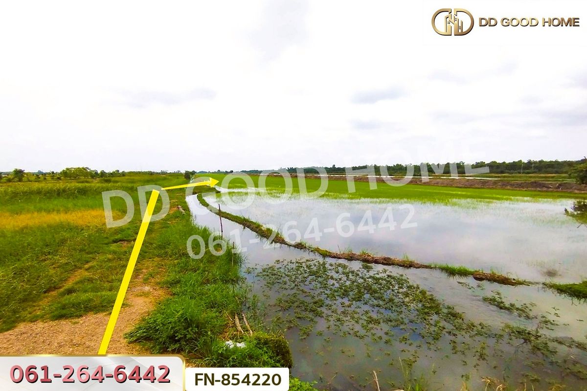 ขายที่ดินปทุมธานี รังสิต ธรรมศาสตร์ : FN-854220 ที่ดินลำลูกกาคลอง 11 ปทุมธานี 4 ไร่ 237.3 ตร.ว. ใกล้สนามกอล์ฟลำลูกกาคันทรีคลับ