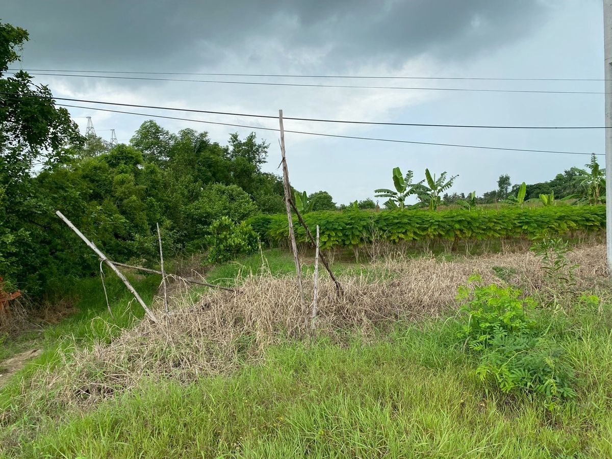 ขายที่ดินปราจีนบุรี : 📢👇โอกาสทองสำหรับนักลงทุน! ที่ดิน  อ.บ้านสร้าง ปราจีนบุรี แปลงใหญ่ ติดถนนใหญ่ 4 เลน  รองรับการพัฒนาเชื่อมสู่เขตเศรษฐกิจพิเศษภาคตะวันออก (EEC)