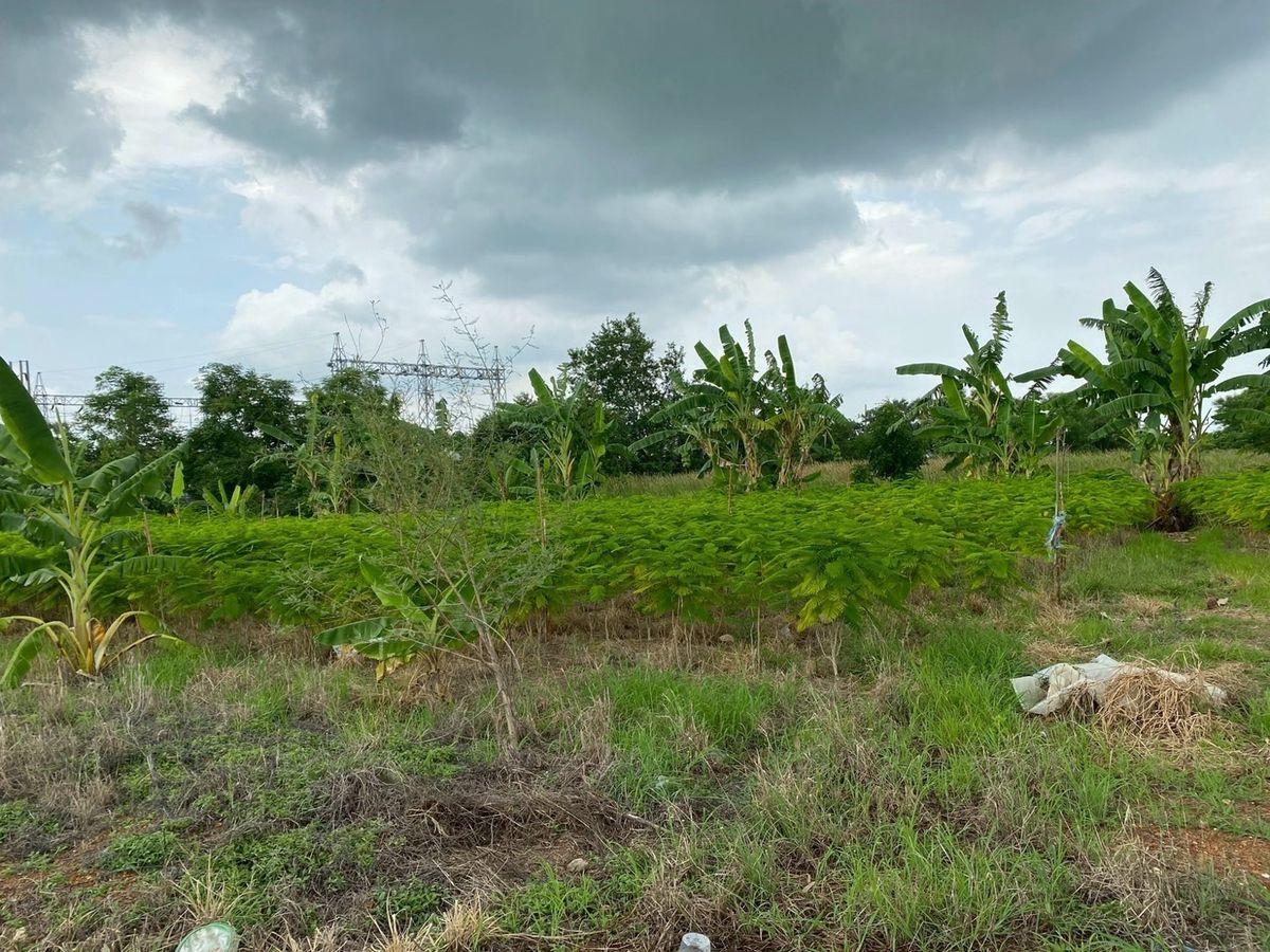 ขายที่ดินปราจีนบุรี : 📢👇โอกาสทองสำหรับนักลงทุน! ที่ดิน  อ.บ้านสร้าง ปราจีนบุรี แปลงใหญ่ ติดถนนใหญ่ 4 เลน  รองรับการพัฒนาเชื่อมสู่เขตเศรษฐกิจพิเศษภาคตะวันออก (EEC)