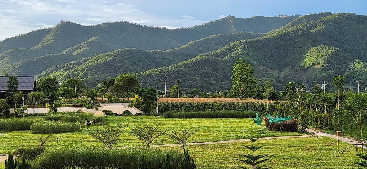 ขายที่ดินเชียงใหม่ : ที่ดินวิวเขา 360 ํ เชียงใหม่