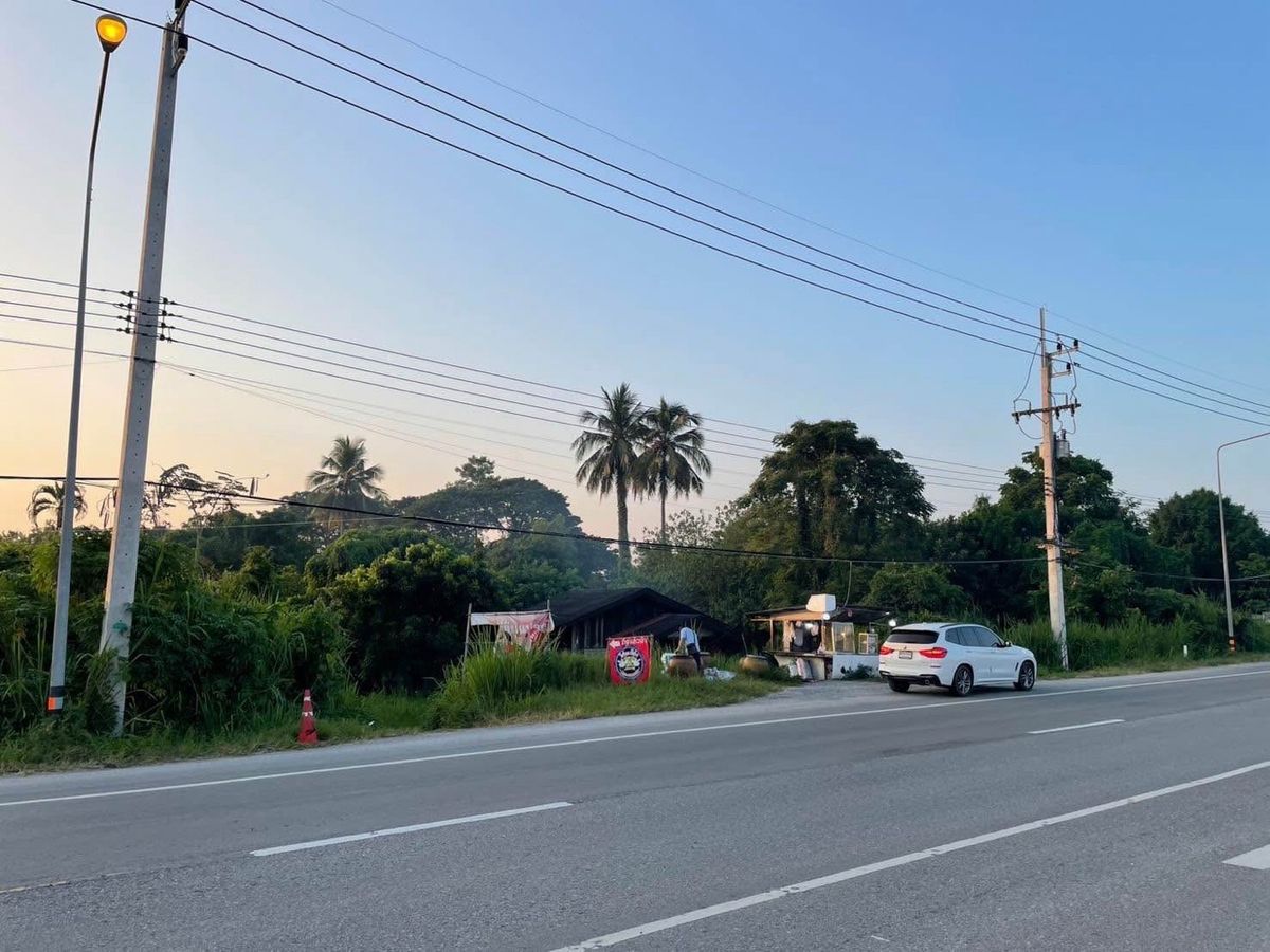 ขายที่ดินเชียงใหม่ : ขายที่ดินโฉนด ขนาดที่ดิน 289 ตร.วา พร้อมบ้านไม้ชั้นเดียว