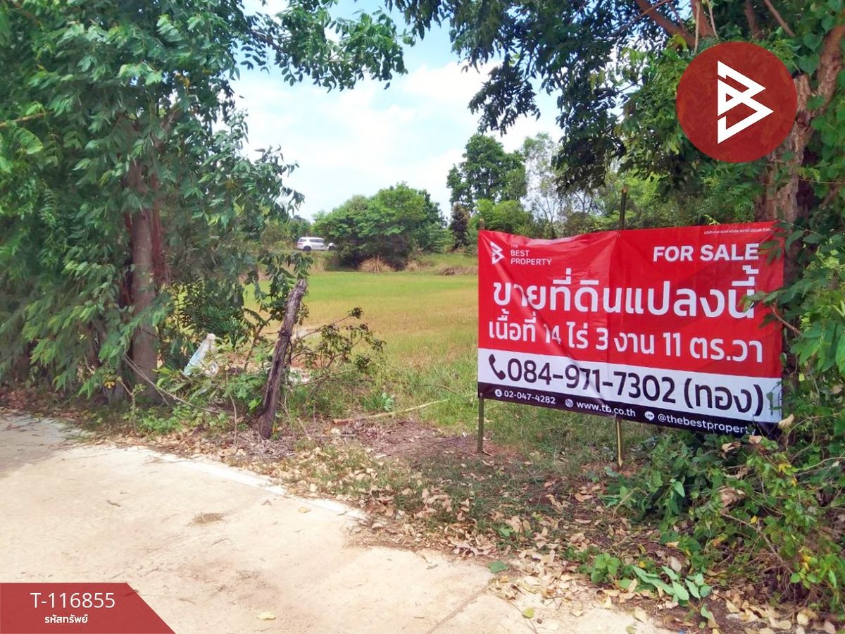 ขายที่ดินโคราช นครราชสีมา : ขายที่ดิน เนื้อที่ 13 ไร่ สีดา นครราชสีมา