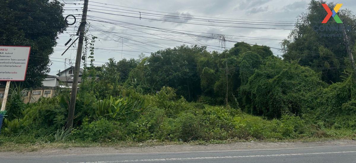 ขายที่ดินปทุมธานี รังสิต ธรรมศาสตร์ : ขายที่ดินเปล่า 221 ตรว. สวนพริกไทย เมืองปทุมธานี สวนพริกไทย เมืองปทุมธานี ปทุมธานี CX-125762