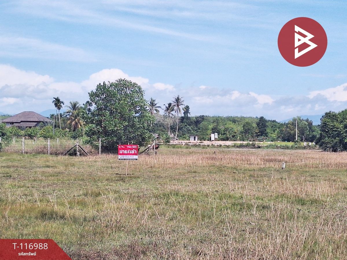 ขายที่ดินนครศรีธรรมราช : ขายที่ดิน เนื้อที่ 50.6 ตร.วา ท่าศาลา นครศรีธรรมราช