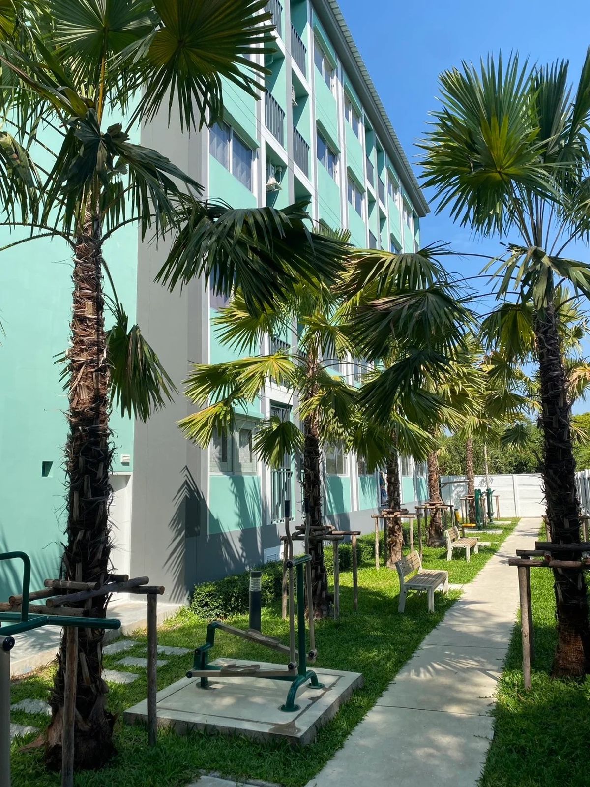 ให้เช่าคอนโดปทุมธานี รังสิต ธรรมศาสตร์ : 🔥ให้เช่าด่วน ห้องใหม่พร้อมอยู่🔥เสนาคิทท์ รังสิต - คลอง 4 ค่าเช่าเริ่มต้น 7,300 บาท/เดือน รับทั้งคนไทยและชาวต่างชาติ (มีสัญญาเช่า 6 เดือน / 1ปี) RentNex By Sena