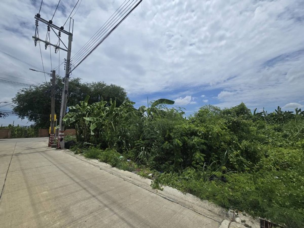 ขายที่ดินพุทธมณฑล ศาลายา : ขายที่ดินเปล่า 126 ตร.ว ถนนทวีวัฒนา หน้าปากซอยทวีวัฒนา-กาญจนาภิเษก 20 แปลงมุม ที่ดินทำเลดี ติดถนนใหญ่ ใกล้มหาวิทยาลัยกรุงเทพธนบุรี