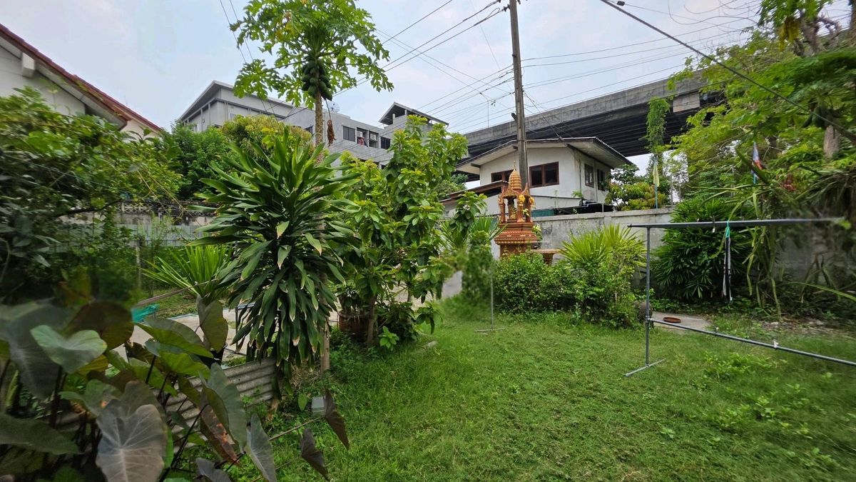 ขายที่ดินอ่อนนุช อุดมสุข : 🏕ขายที่ดินพร้อมสิ่งปลูกสร้างสุขุมวิท 68 เนื้อที่ 100 ตรว.ใกล้ รพ.กล้วยน้ำไท | BTS อุดมสุข | BITEC เหมาะทำบ้านพักอาศัย • Homeoffice ราคาคุ้มกับทำเล
 📞0994152664, 0803696366