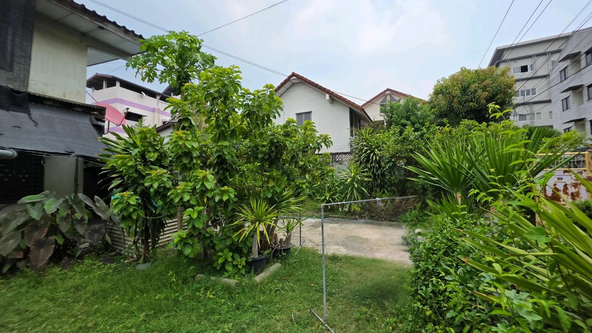 ขายที่ดินอ่อนนุช อุดมสุข : 🏕ขายที่ดินพร้อมสิ่งปลูกสร้างสุขุมวิท 68 เนื้อที่ 100 ตรว.ใกล้ รพ.กล้วยน้ำไท | BTS อุดมสุข | BITEC เหมาะทำบ้านพักอาศัย • Homeoffice ราคาคุ้มกับทำเล
 📞0994152664, 0803696366