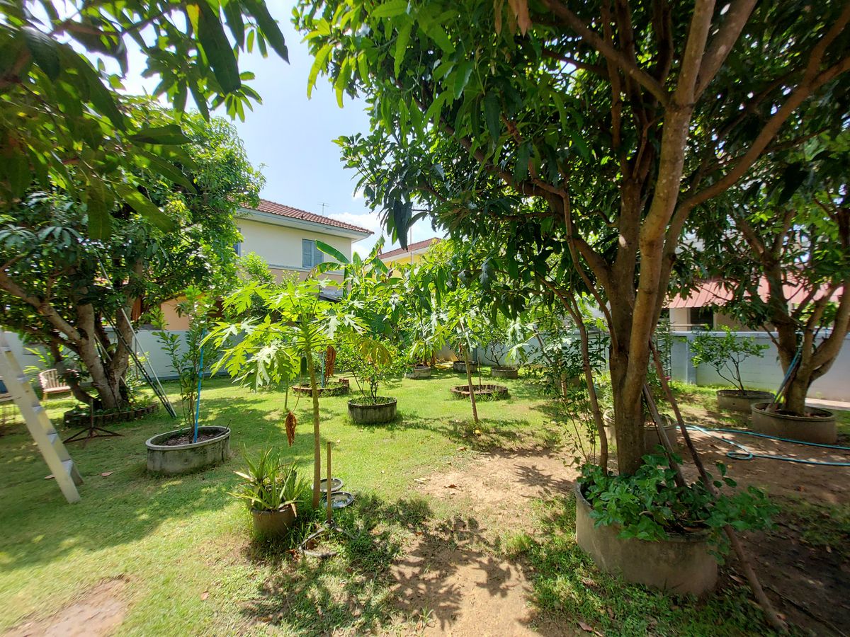 For SaleHousePhutthamonthon, Salaya : House for sale 101 sq.w., Paricha, Phutthamonthon Sai 4, full additional fir, near 6.5 million