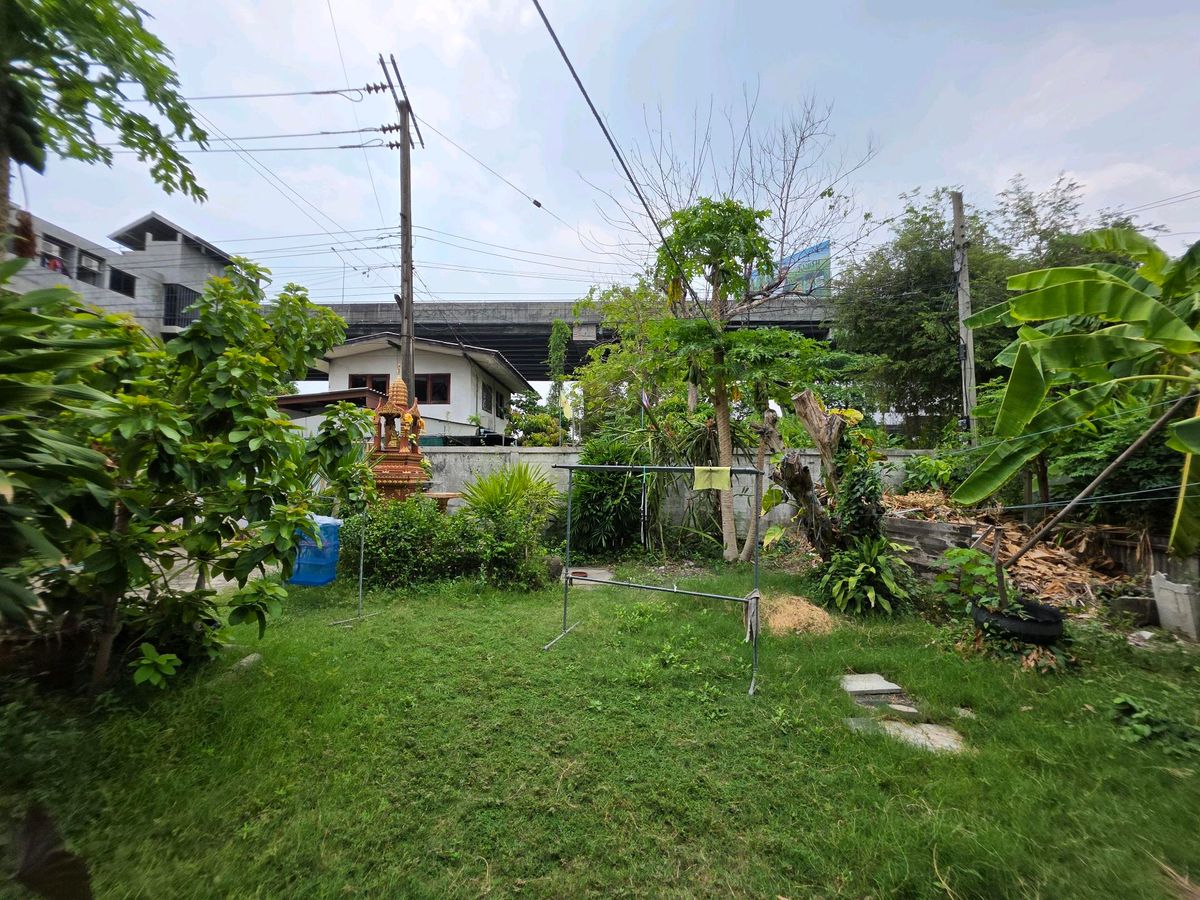 For SaleLandOnnut, Udomsuk : [Sale] Rare Land Opportunity in Sukhumvit 68 – Udomsuk Area
100 sq. wah | BTS Udomsuk | Great Neighborhood | Shady & Quiet Atmosphere 📞099 415 2664 