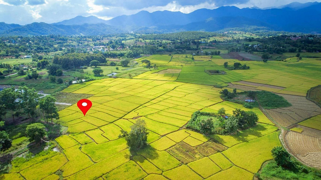 ขายที่ดินแม่ฮ่องสอน : ขายที่ดิน ในโครงการชีวิตติดนา เฟส 2 ขนาด 73.9 ตร.ว. ใกล้ ถนนห้วยทราย-ใหม่