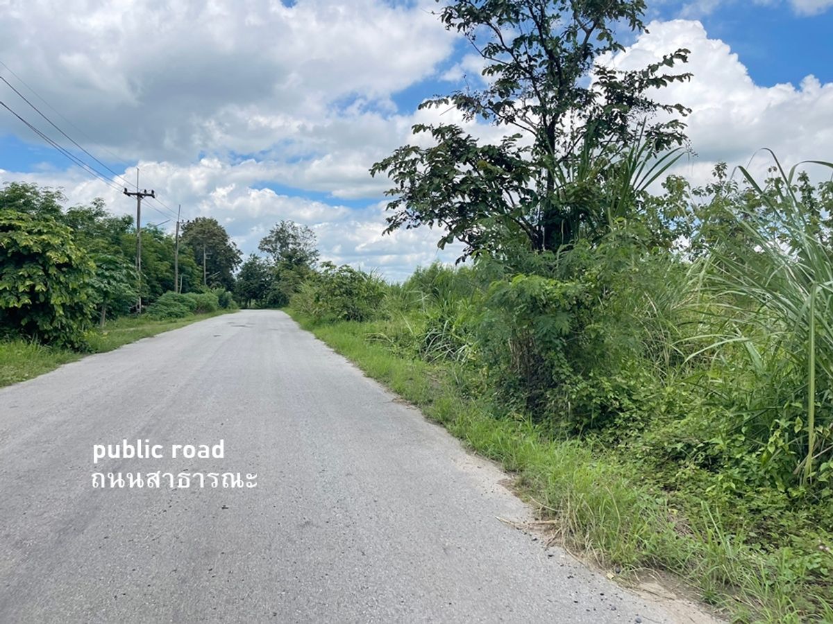 ขายที่ดินพัทยา บางแสน ชลบุรี สัตหีบ : ขายที่ดิน EEC 24 ไร่ อำเภอบ่อทอง ชลบุรี สำหรับโครงการที่อยู่อาศัย