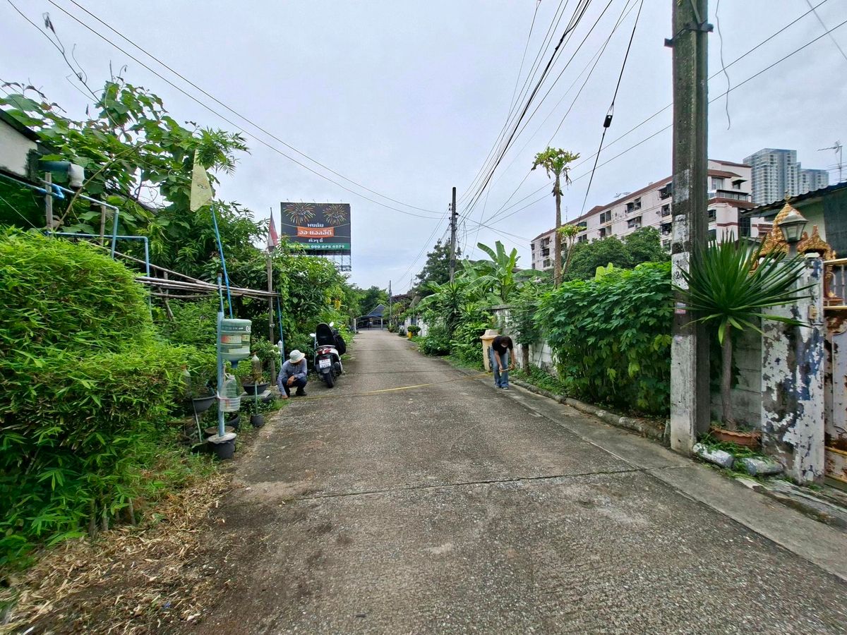 ขายที่ดินอ่อนนุช อุดมสุข : 🏕ขายที่ดินพร้อมสิ่งปลูกสร้างสุขุมวิท 68 เนื้อที่ 100 ตรว.ใกล้ รพ.กล้วยน้ำไท | BTS อุดมสุข | BITEC เหมาะทำบ้านพักอาศัย • Homeoffice ราคาคุ้มกับทำเล
 📞0994152664, 0803696366