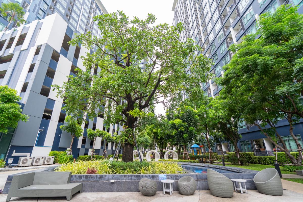 For RentCondoBang Sue, Wong Sawang, Tao Pun : 🔥For urgent rent🔥Metro Sky Bang Son Interchange (Prachachuen) 1 bedroom, 1 bathroom, on Prachachuen Road, beautiful room, fully furnished, ready to move in