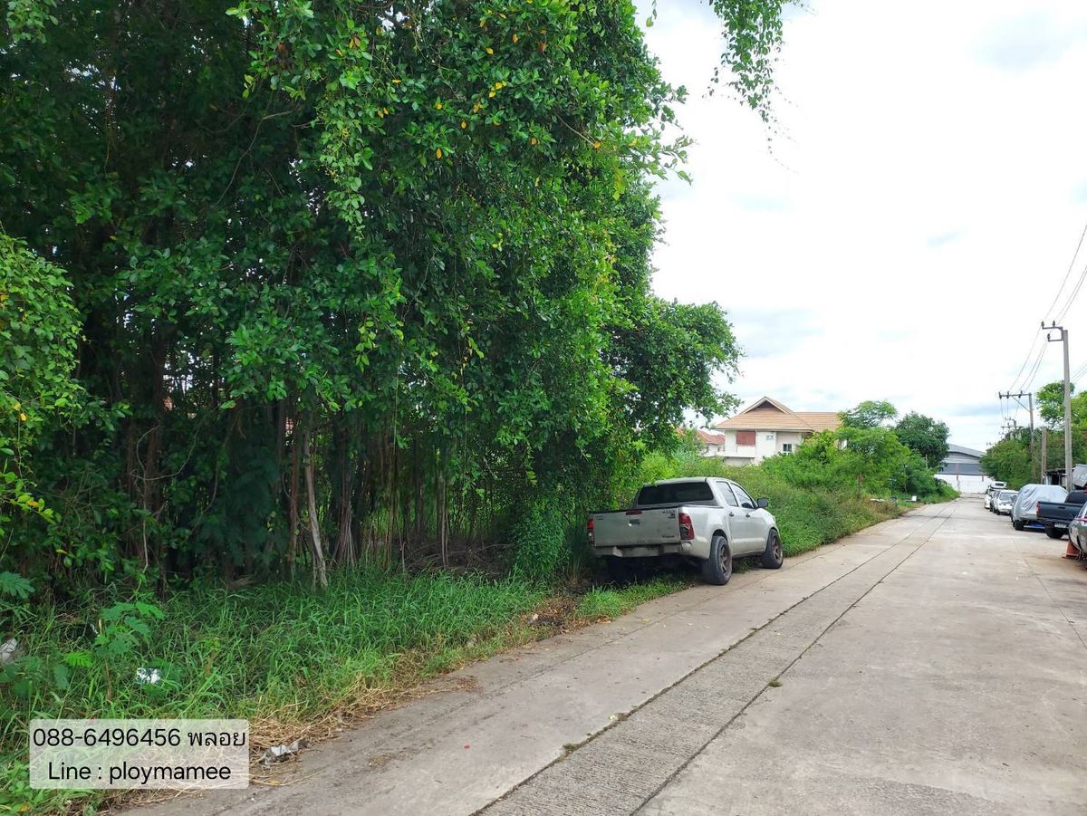 ขายที่ดินนนทบุรี บางใหญ่ บางบัวทอง : ขายที่ดินราคาถูกมาก 1 ไร่ ซอยลำโพ 11 บางบัวทอง อยู่ตรงข้ามอู่ลุงหนวด แบ่งแปลงแล้ว ทำเลดี ใกล้โรงเรียนสารสาสน์