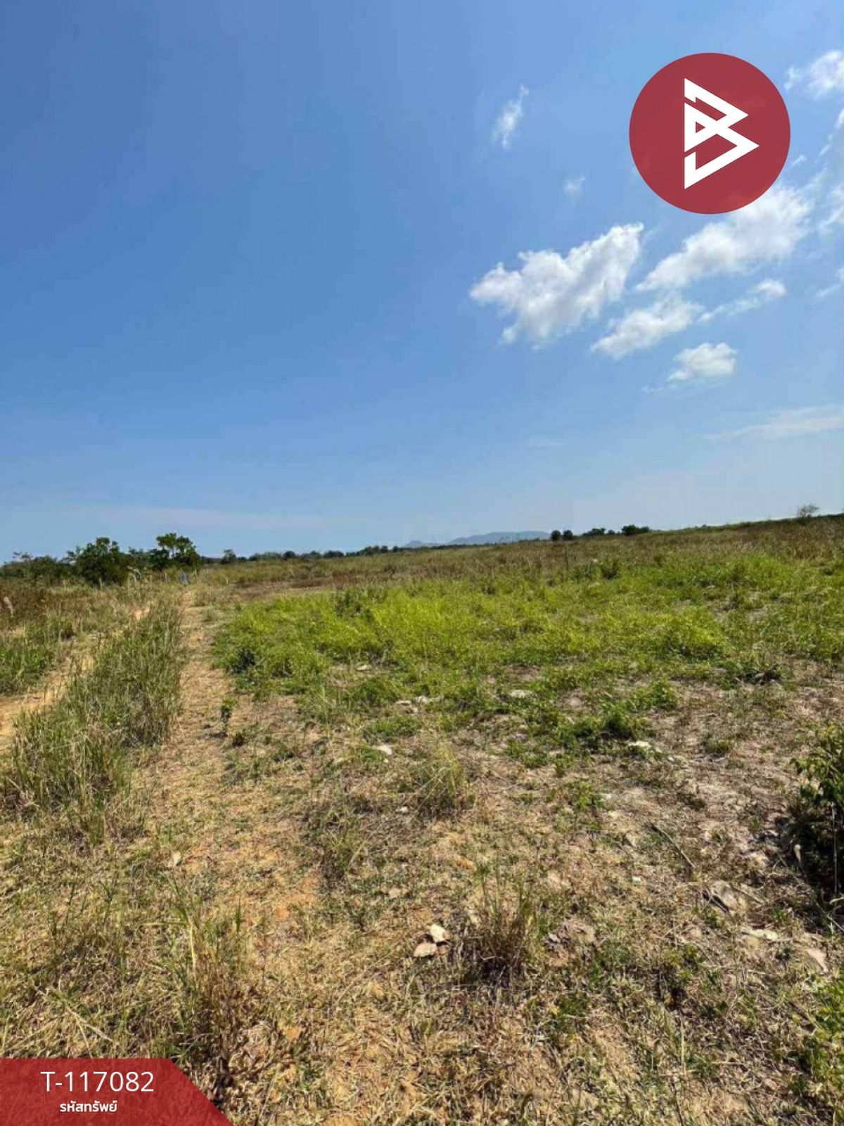 ขายที่ดินชะอำ เพชรบุรี : ขายที่ดิน เนื้อที่ 2 ไร่ ชะอำ เพชรบุรี