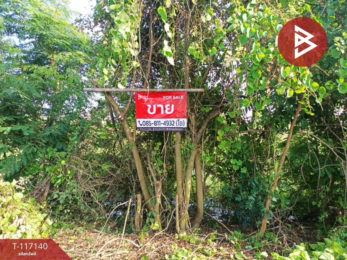 ขายที่ดินปทุมธานี รังสิต ธรรมศาสตร์ : ขายที่ดิน เนื้อที่ 1 งาน ลำลูกกา ปทุมธานี