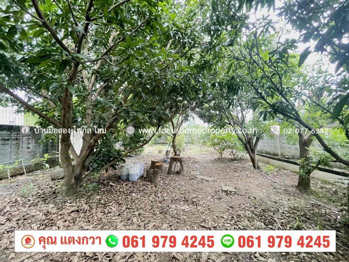 ขายที่ดินนนทบุรี บางใหญ่ บางบัวทอง : ขาย ที่ดิน 200 ตารางวา ใกล้หมู่บ้าน ชลลดา วัดลาดปลาดุก