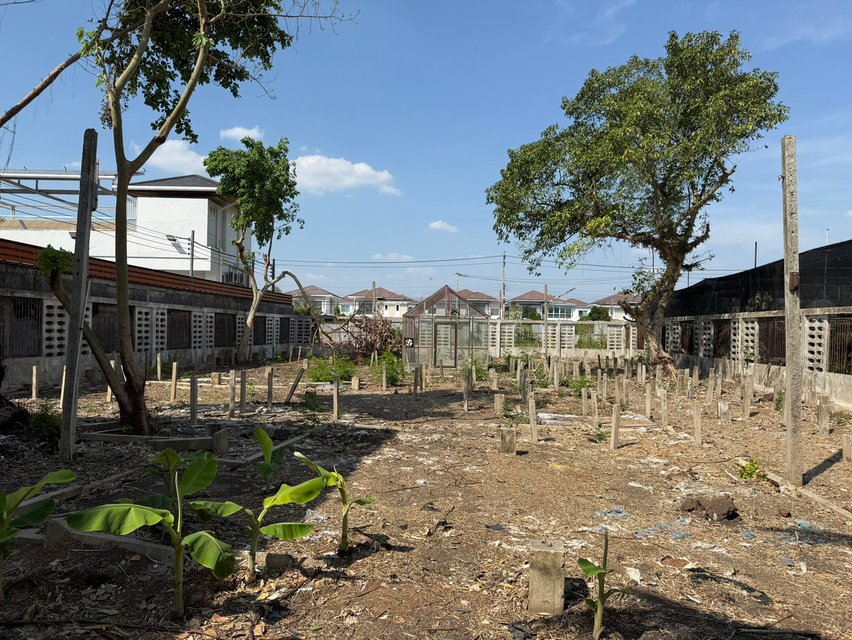ขายที่ดินวิภาวดี ดอนเมือง หลักสี่ : ที่ดิน 1 ไร่ ใกล้สนามบินดอนเมือง