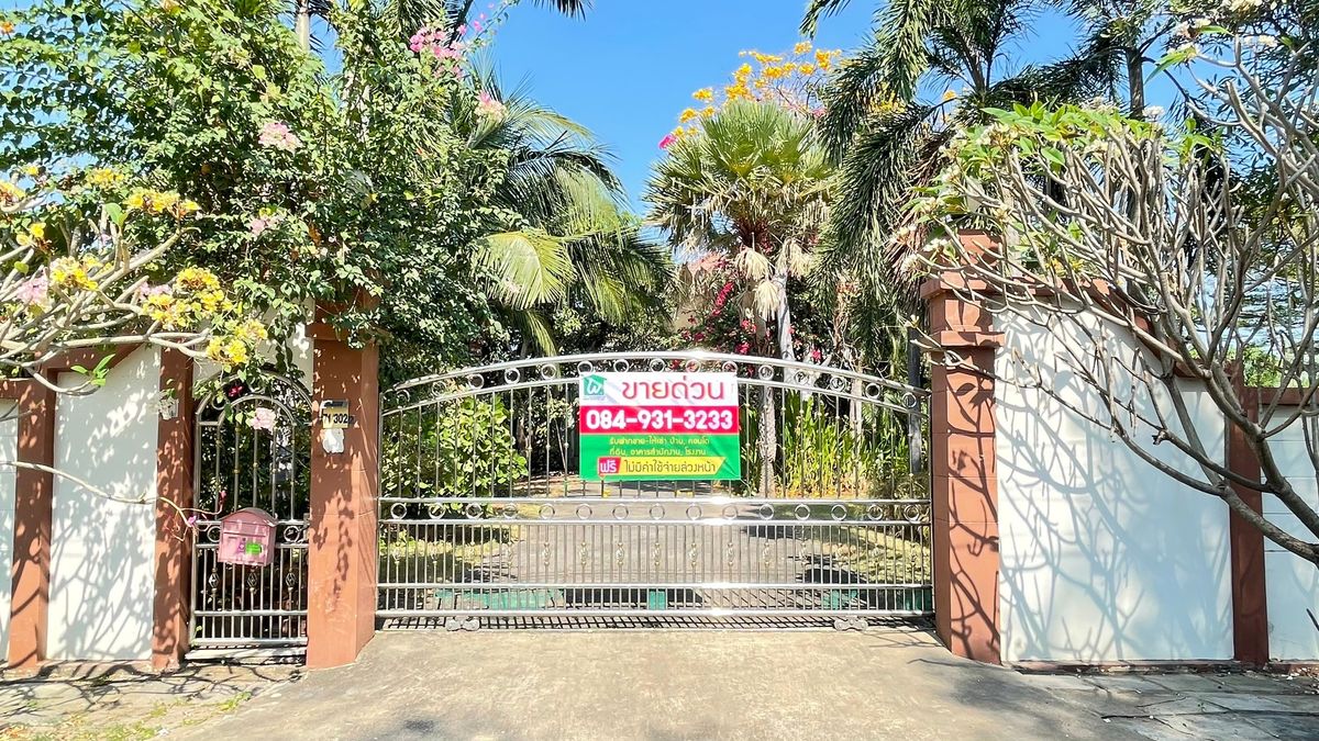 ขายบ้านปทุมธานี รังสิต ธรรมศาสตร์ : สุดยอดโอกาสทอง! ขายบ้านพร้อมที่ดิน 242 ตร.วา ราคาต่ำกว่าราคาประเมิน!