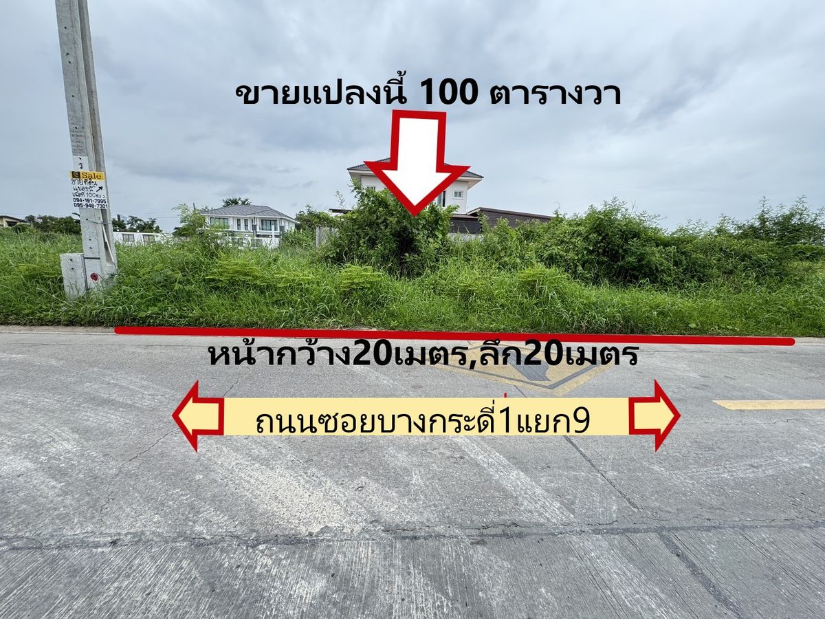 ขายที่ดินพระราม 2 บางขุนเทียน : ขายที่ดิน 100 ตรว. ติดถนนซอยบางกระดี่ 1 แยก 9 Ref. A01250701