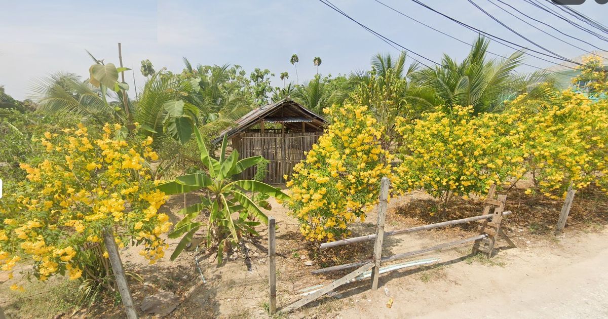ให้เช่าที่ดินนครปฐม : ที่ดิน200ตร.ว. ให้เช่า นครชัยศรี นครปฐมใกล้โลตัส นครชัยศรี  สามารถทำสวนผสมขนาดเล็ก สร้างบ้านพักในสวน ทำร้านกาแฟ ร้านอาหารพร้อมชมสวน ราคาค่าเช่า 8,000บาท/เดือน มัดจำ3 เดือน ค่าเช่าล่วงหน้า1เดือน ติดต่อ โทร086-465-3250 