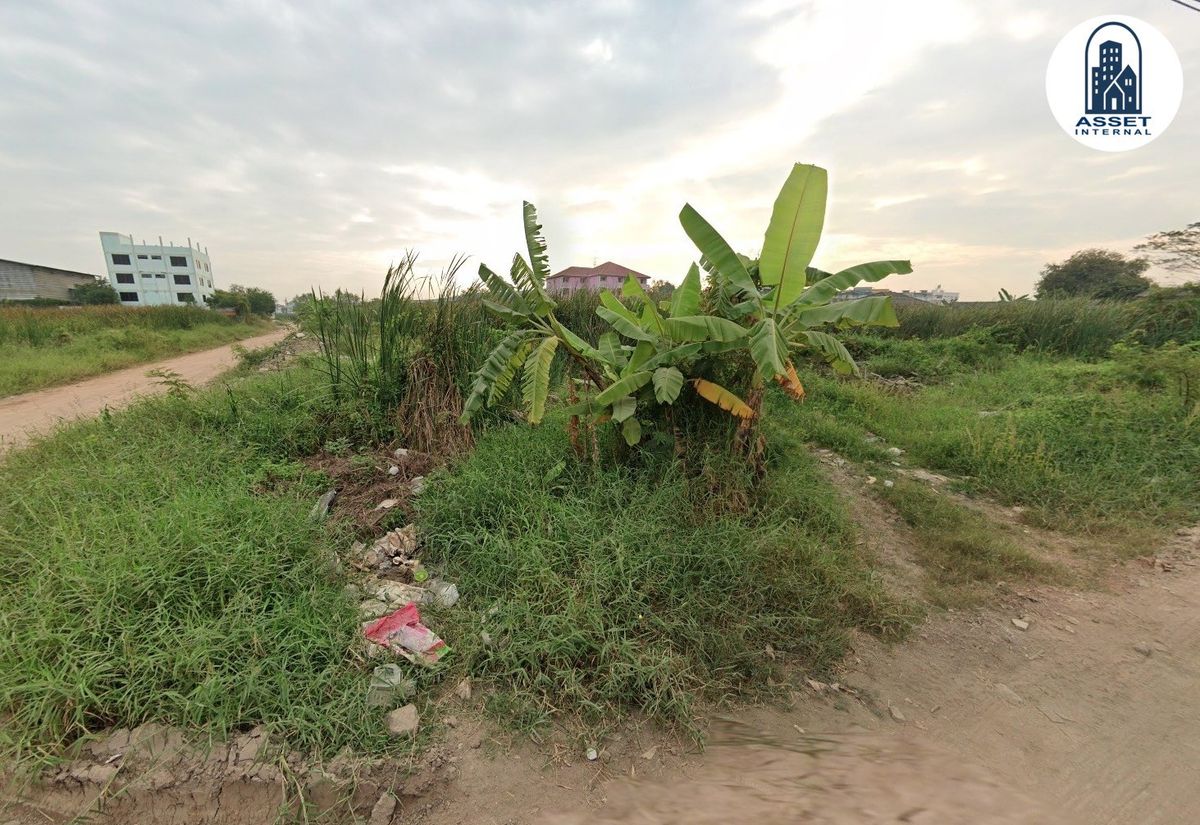 ขายที่ดินเอกชัย บางบอน : ️ขายที่ดินเปล่า 1 ไร่ ถมแล้ว แปลงมุม ติดถนน 2 ด้าน ซอยศุภาหาร 3 ถนนเอกชัย-บางบอน แขวงบางบอนเหนือ เขตบางบอน กรุงเทพมหานคร