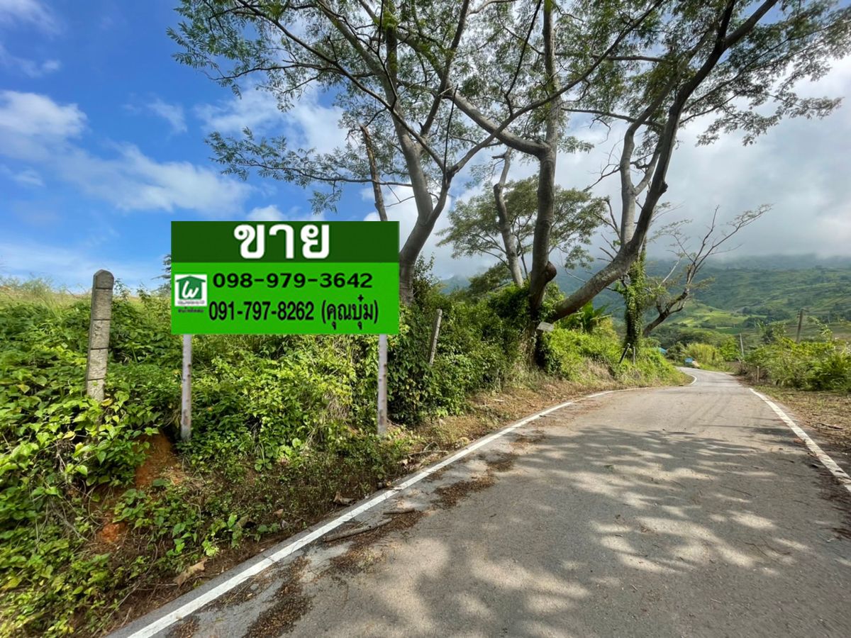 ขายที่ดินเพชรบูรณ์ : ขาย ที่ดิน เขาค้อ เนินเขา วิวบลูสกาย รีสอร์ท 200 ตรว.