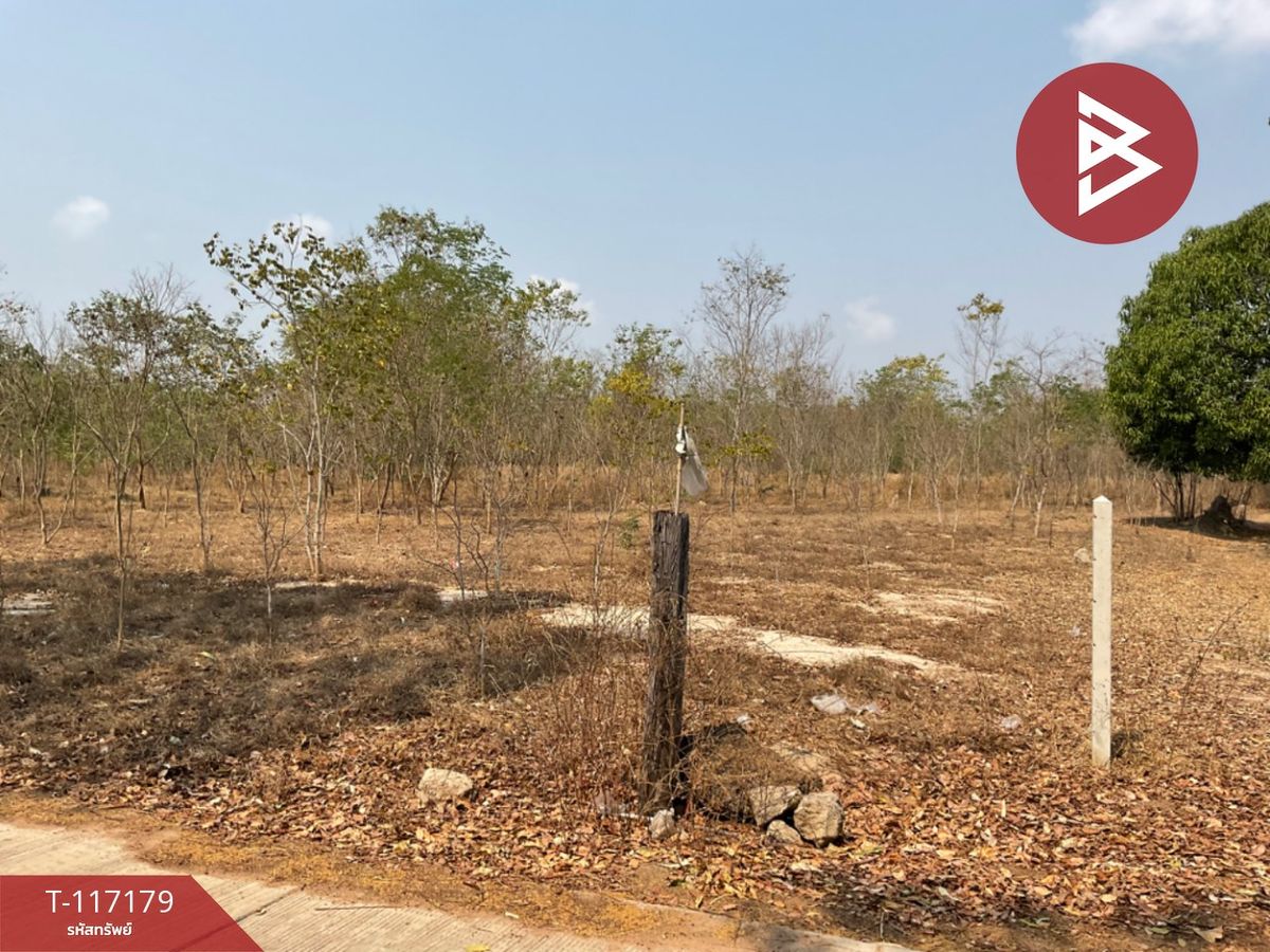 ขายที่ดินอุทัยธานี : ขายที่ดิน เนื้อที่ 8 ไร่ 77 ตร.วา หนองขาหย่าง อุทัยธานี