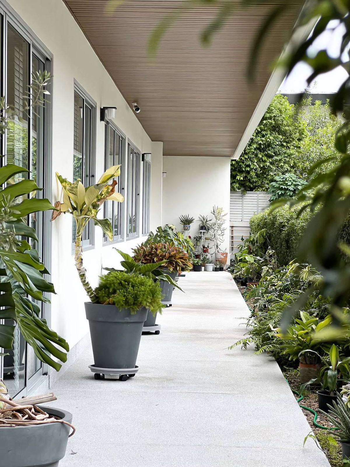 For SaleHome OfficeVipawadee, Don Mueang, Lak Si : Selling office buildings House for sale in Soi Chaeng Watthana 12 (Pak Soi- Crown Hospital), Lak Si District, Bangkok, Chaeng Watthana, Vibhavadi, Laksi near the pink MRT Expressway