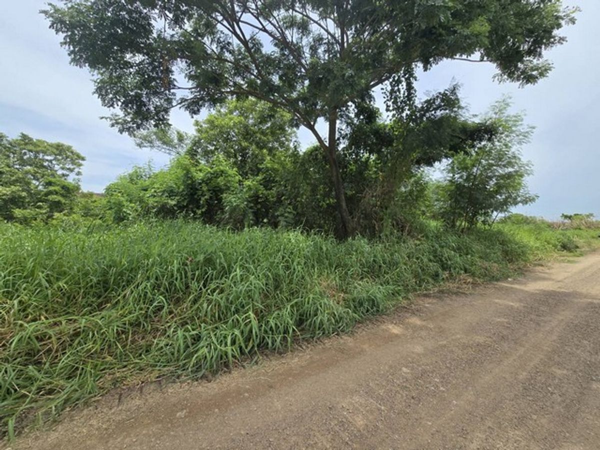 ขายที่ดินปทุมธานี รังสิต ธรรมศาสตร์ : ขายที่ดินถมแล้ว 100 ตร.ว คลองห้า ปทุมธานี ทำเลดี ใกล้ราชมงคล