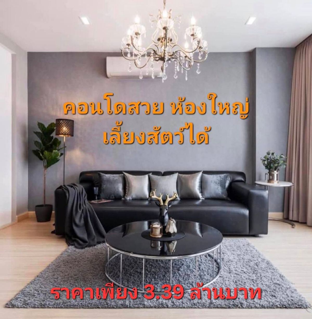 For SaleCondoLadprao101, Happy Land, The Mall Bang Kapi : Selling a condo to raise animals In the heart of Ladprao 101 - The big room is fully decorated.