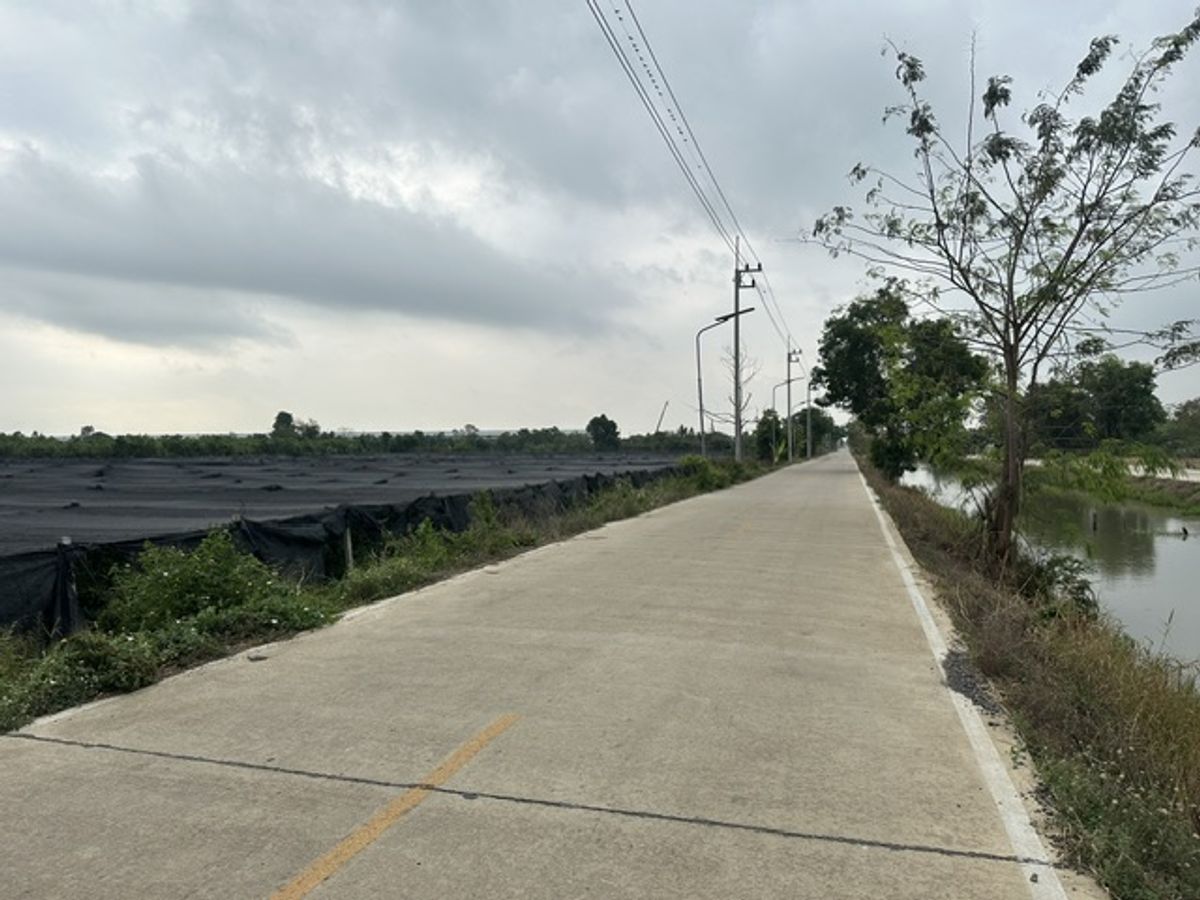 ขายที่ดินปทุมธานี รังสิต ธรรมศาสตร์ : ขายที่ดิน 20ไร่ ติดถนนเลียบคลอง3 คลองหลวงปทุมธานี ขายที่ดินติดถนนสาธารณะ ปัจจุบันทำการเกษตร  