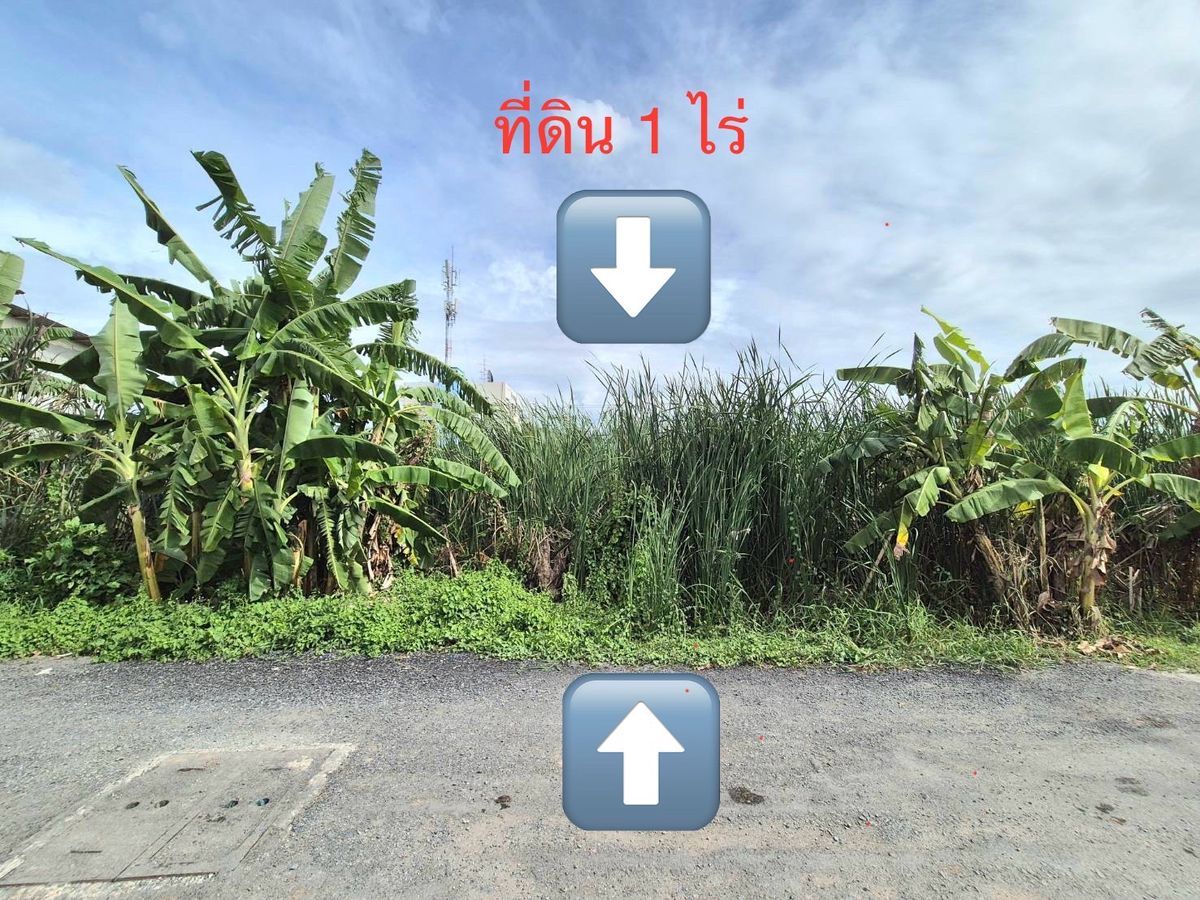 ขายที่ดินปทุมธานี รังสิต ธรรมศาสตร์ : **ขายที่ดิน ถูกมาก ( 1 ไร่) ซอยร่วมสุข 4/5 ถนนติวานนท์ บ้านใหม่ ปทุมธานี