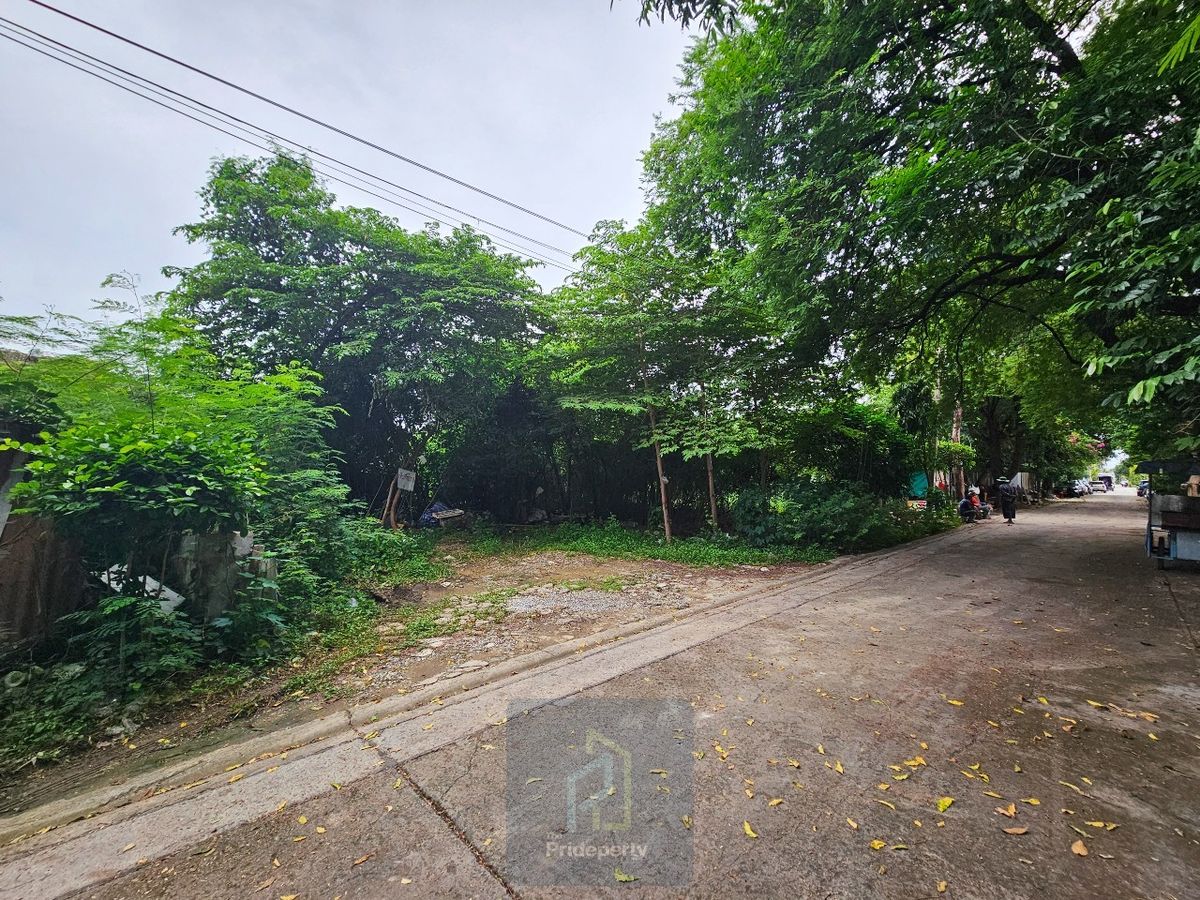 For SaleLandOnnut, Udomsuk : Land for sale 145 sq.w., Soi Punnawithi 43, Sukhumvit 101, wide road, square plot